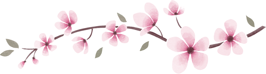 Branche de cerisier en fleurs